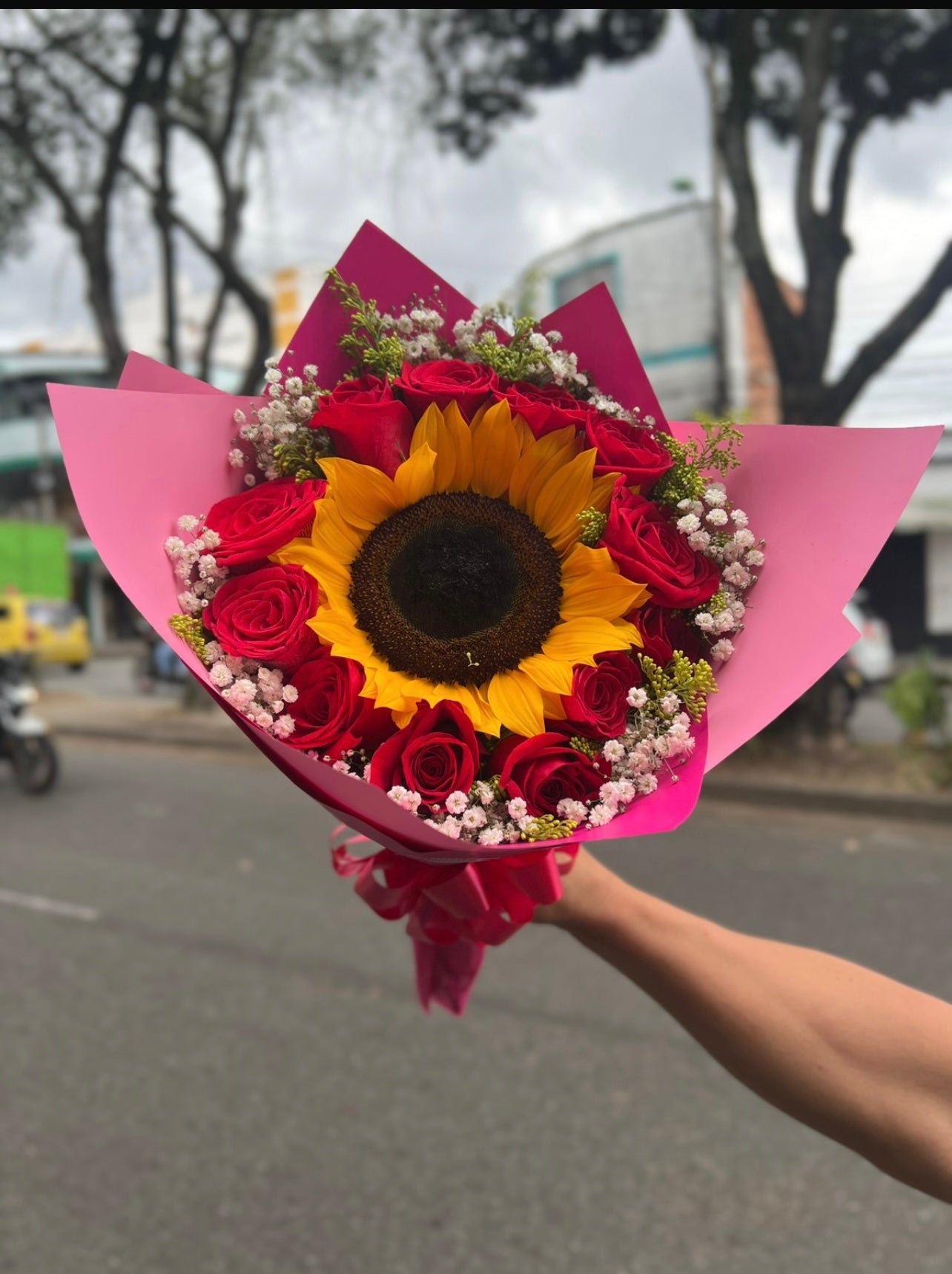 "Sol y Pasión"