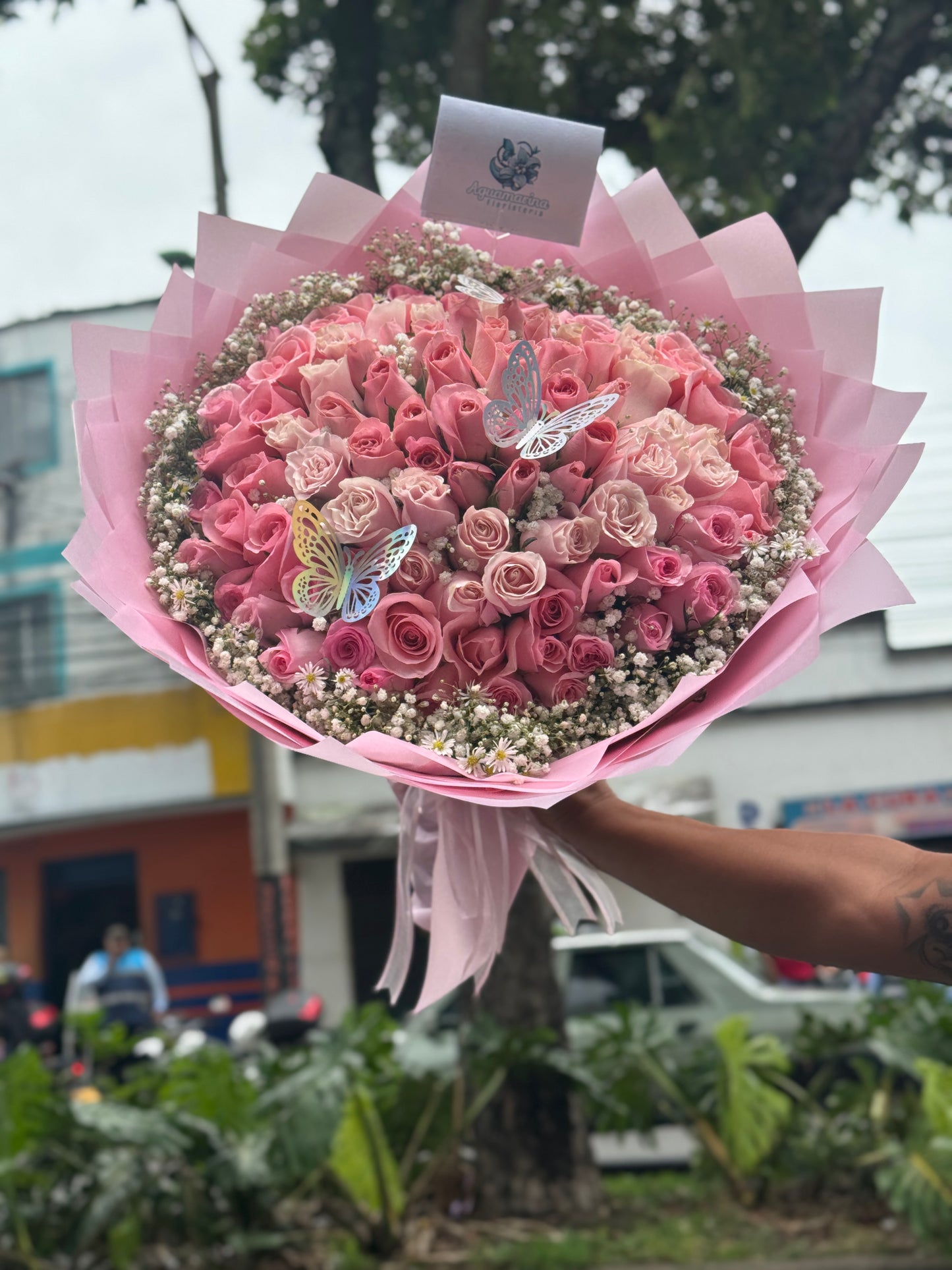 🌹100 Rosas Rojas, ramo Buchón❤️❤️