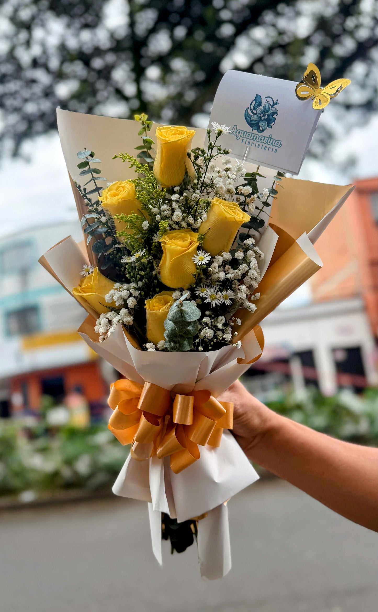 🌹✨ Rosas de ilusión❤️✨