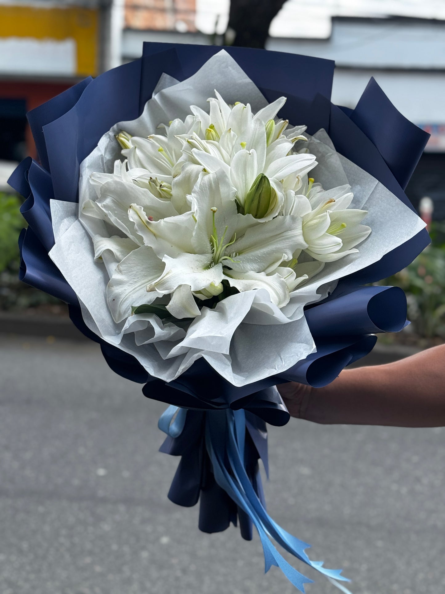 🦋Elegancia, Serena, Premium🩵🫧🤍