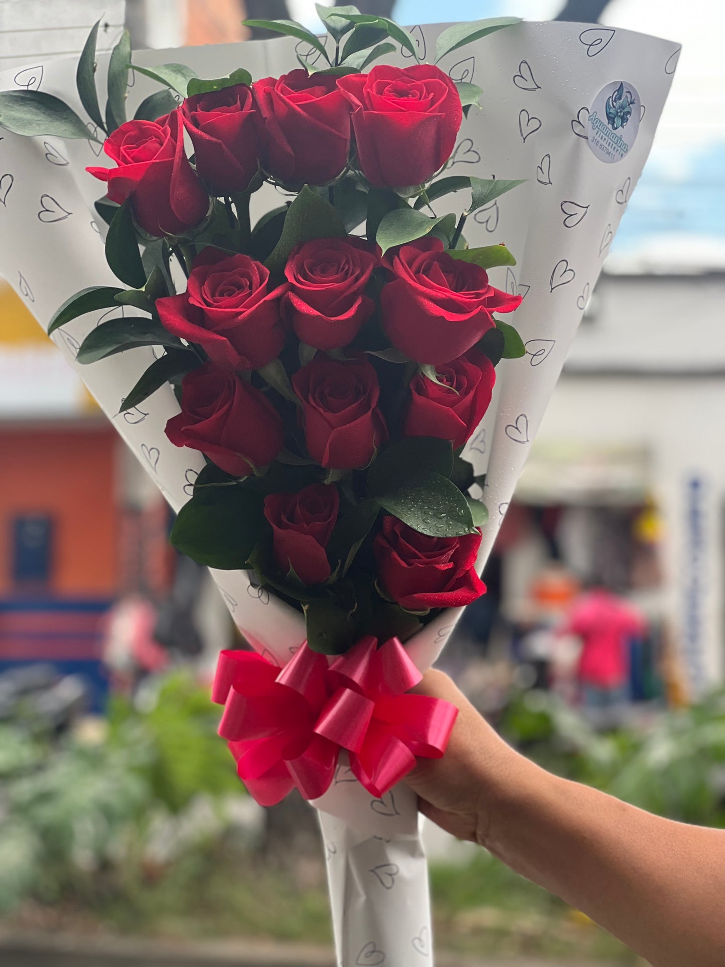 ❤️ jardín de Rosas🌹🌹🌹