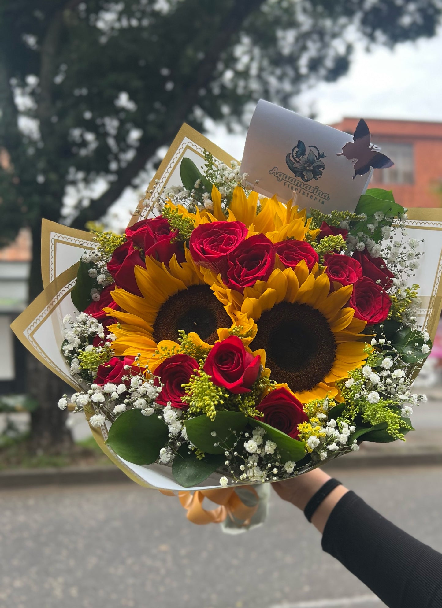 🌻❤️ soles de Amor❤️🌻