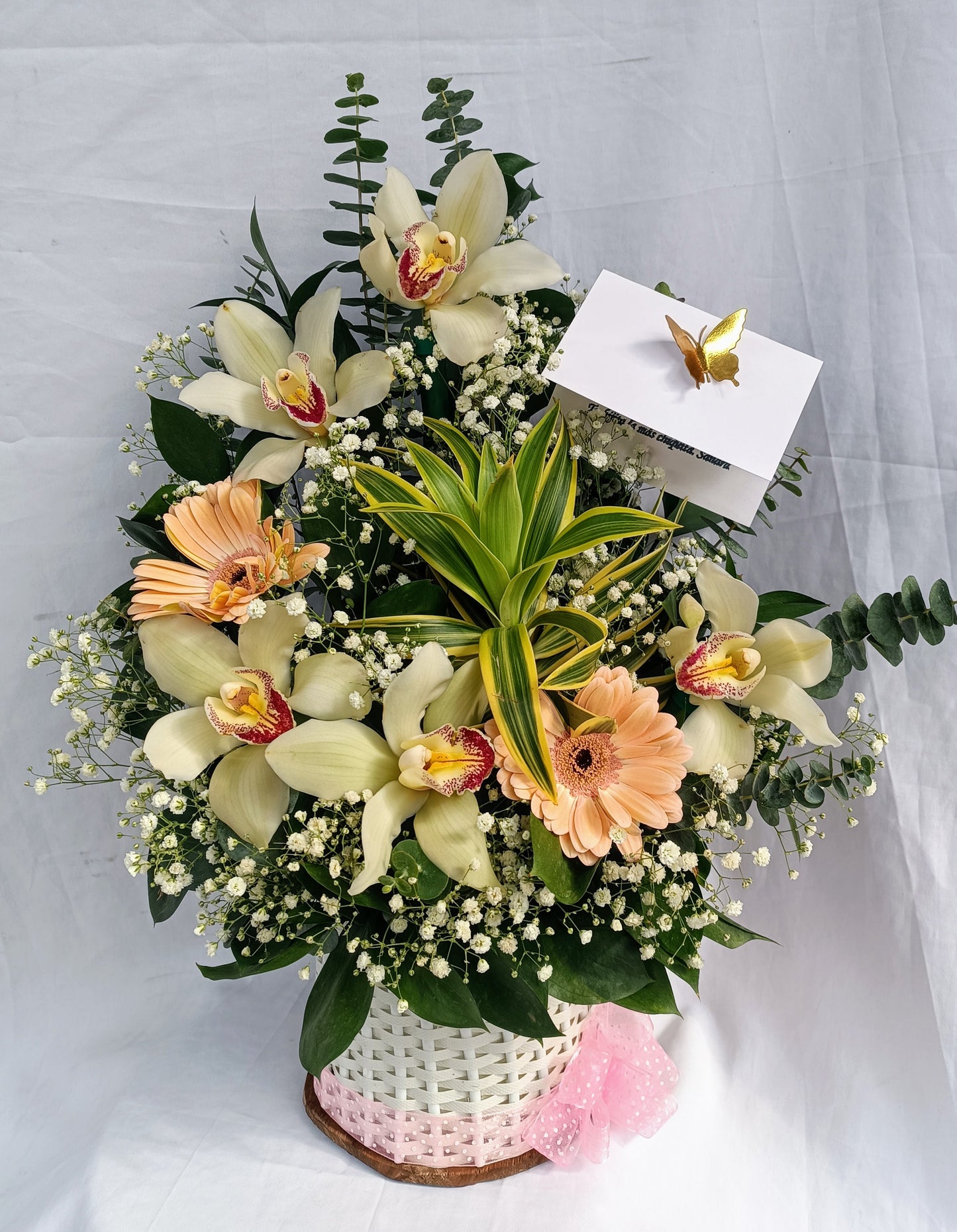 🫧Orquídeas de amor❤️