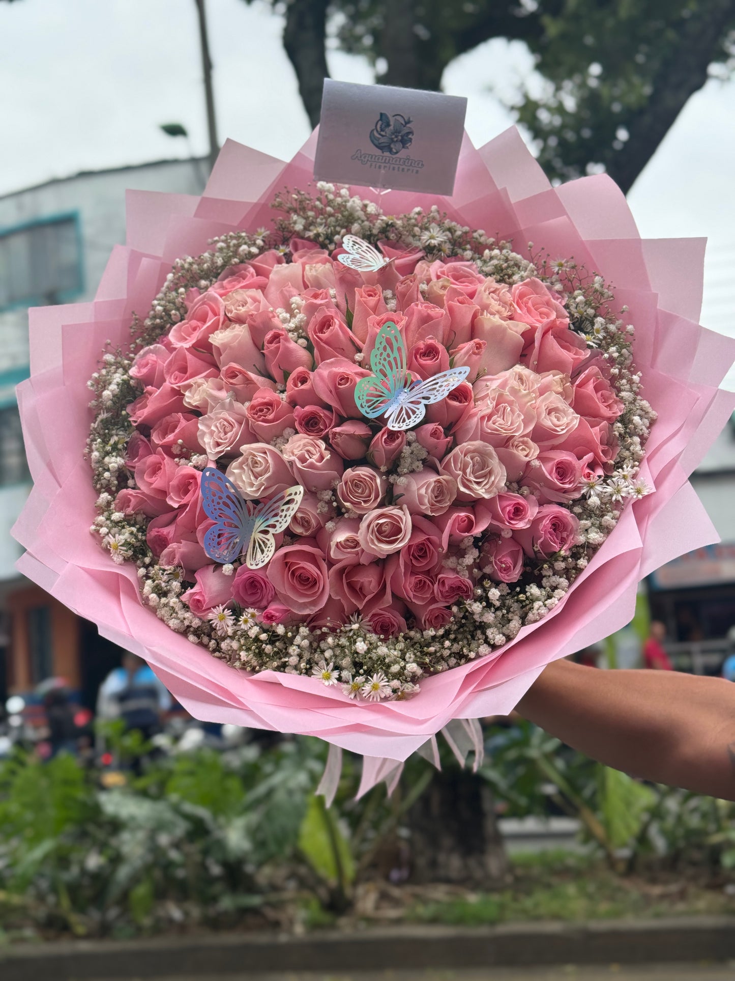 🌹100 Rosas Rojas, ramo Buchón❤️❤️