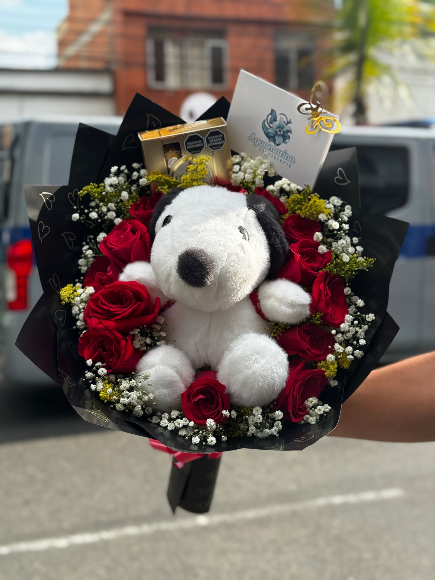 Abrazo de Rosas ❤️🌹🐱