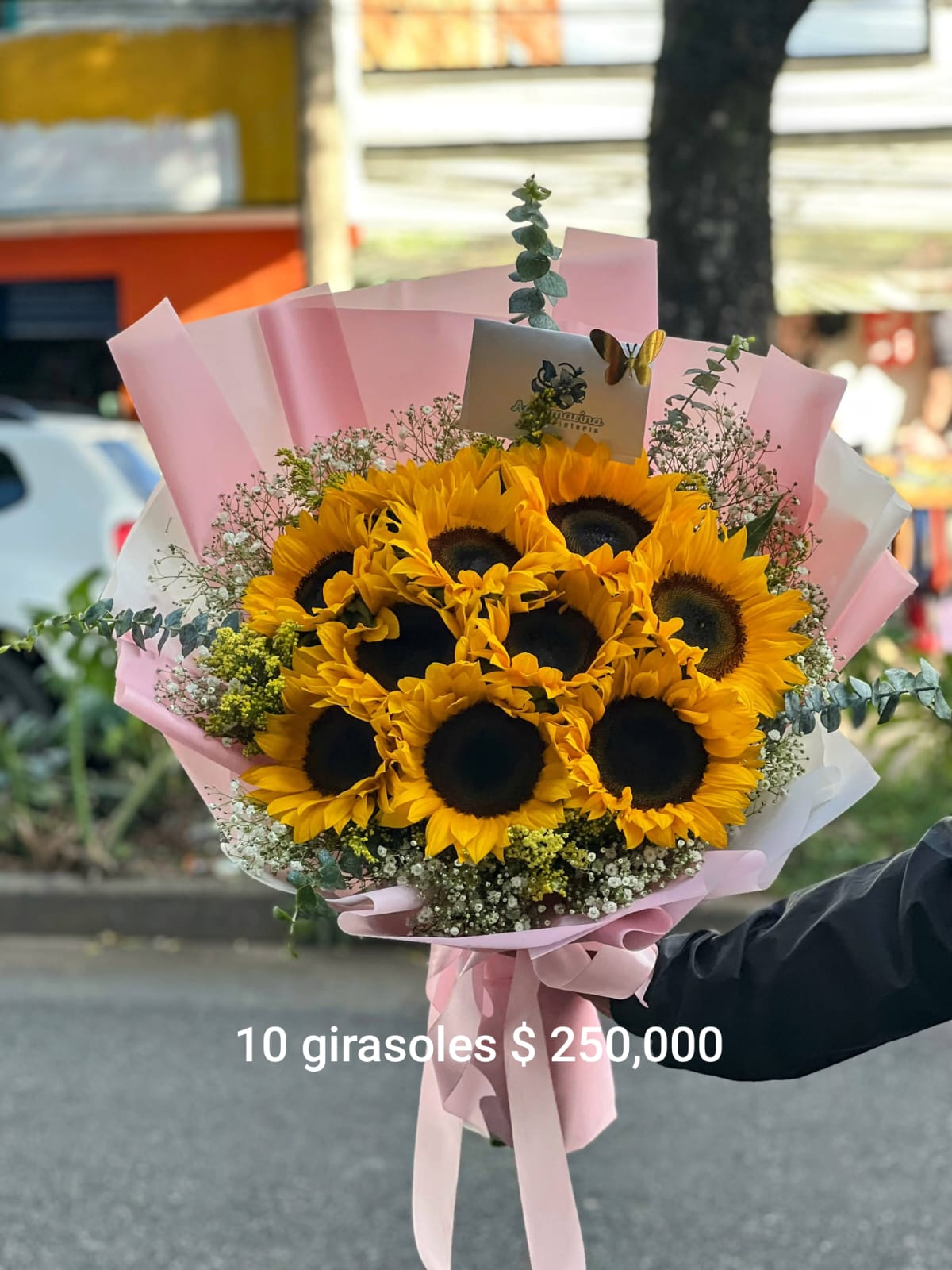 Mundo de 🧡 sol