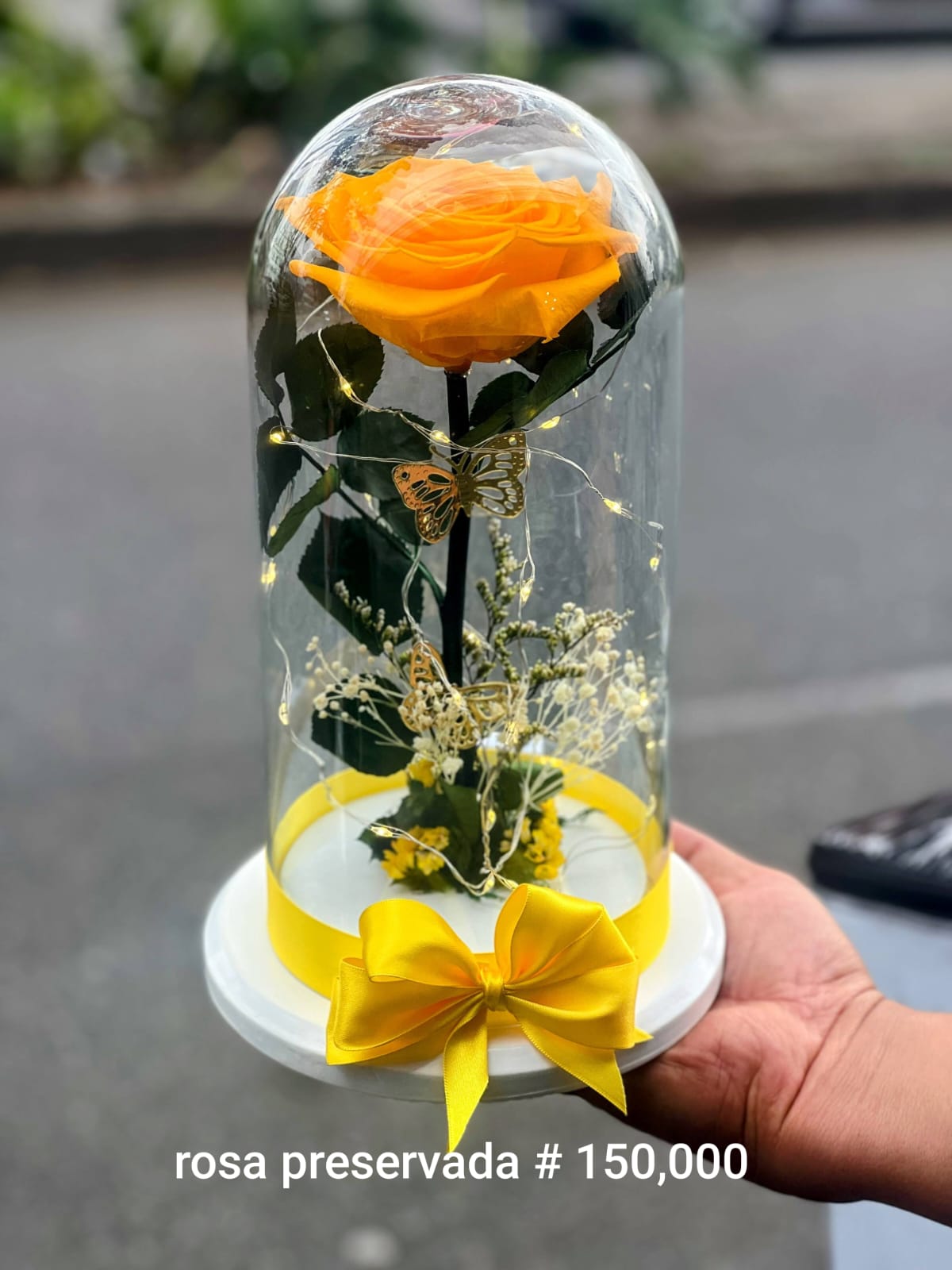Eterna Amarilla