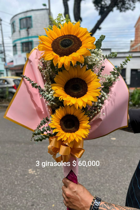 Rayos de sol