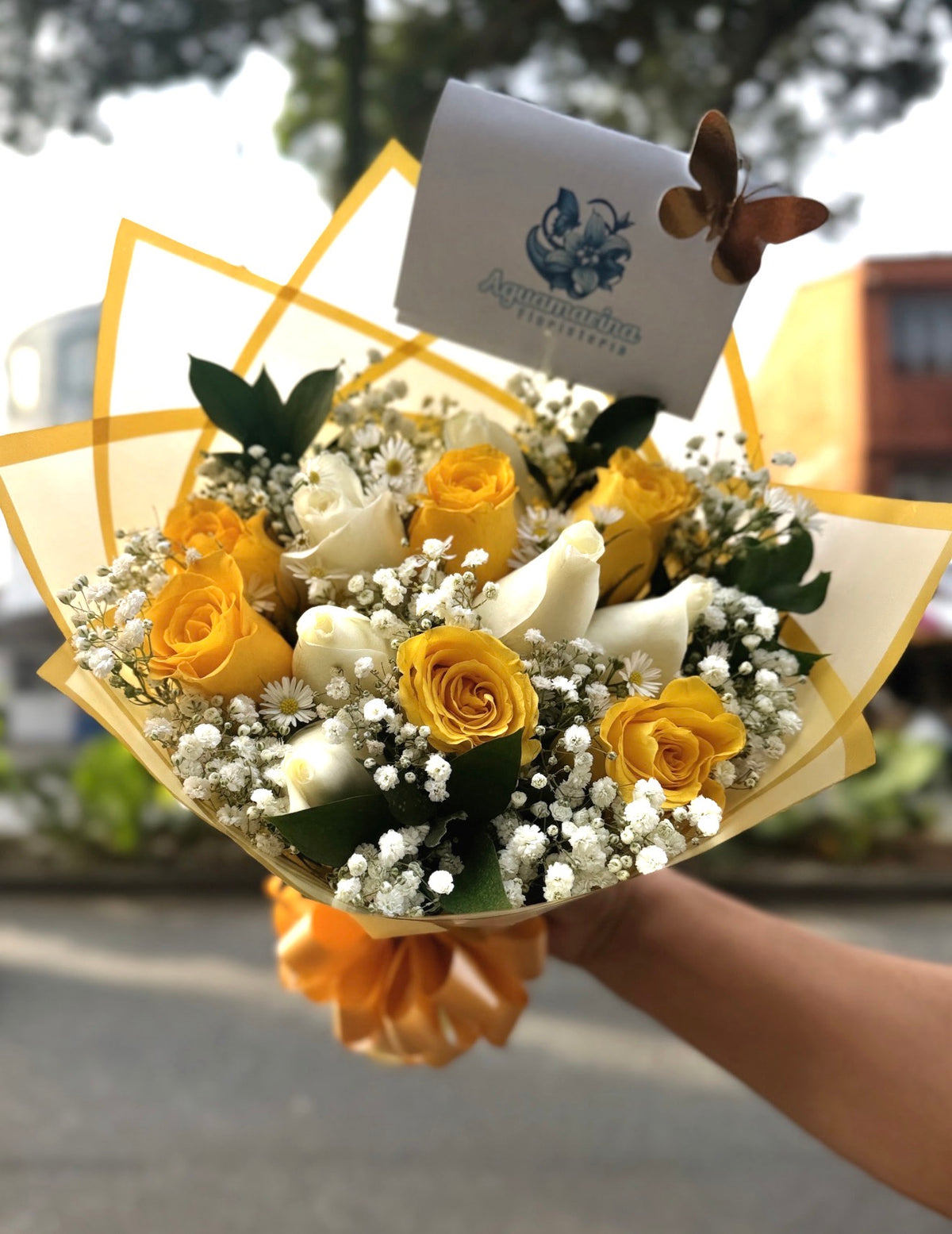 💛Dúo de luz🌼
