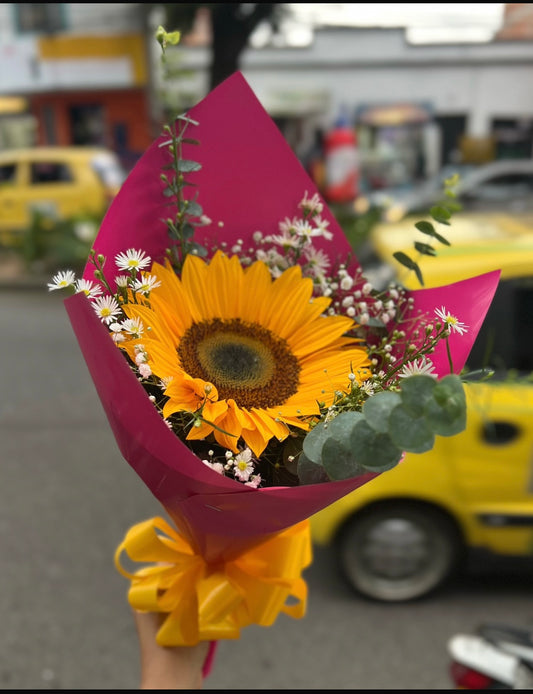 Girasol Radiante