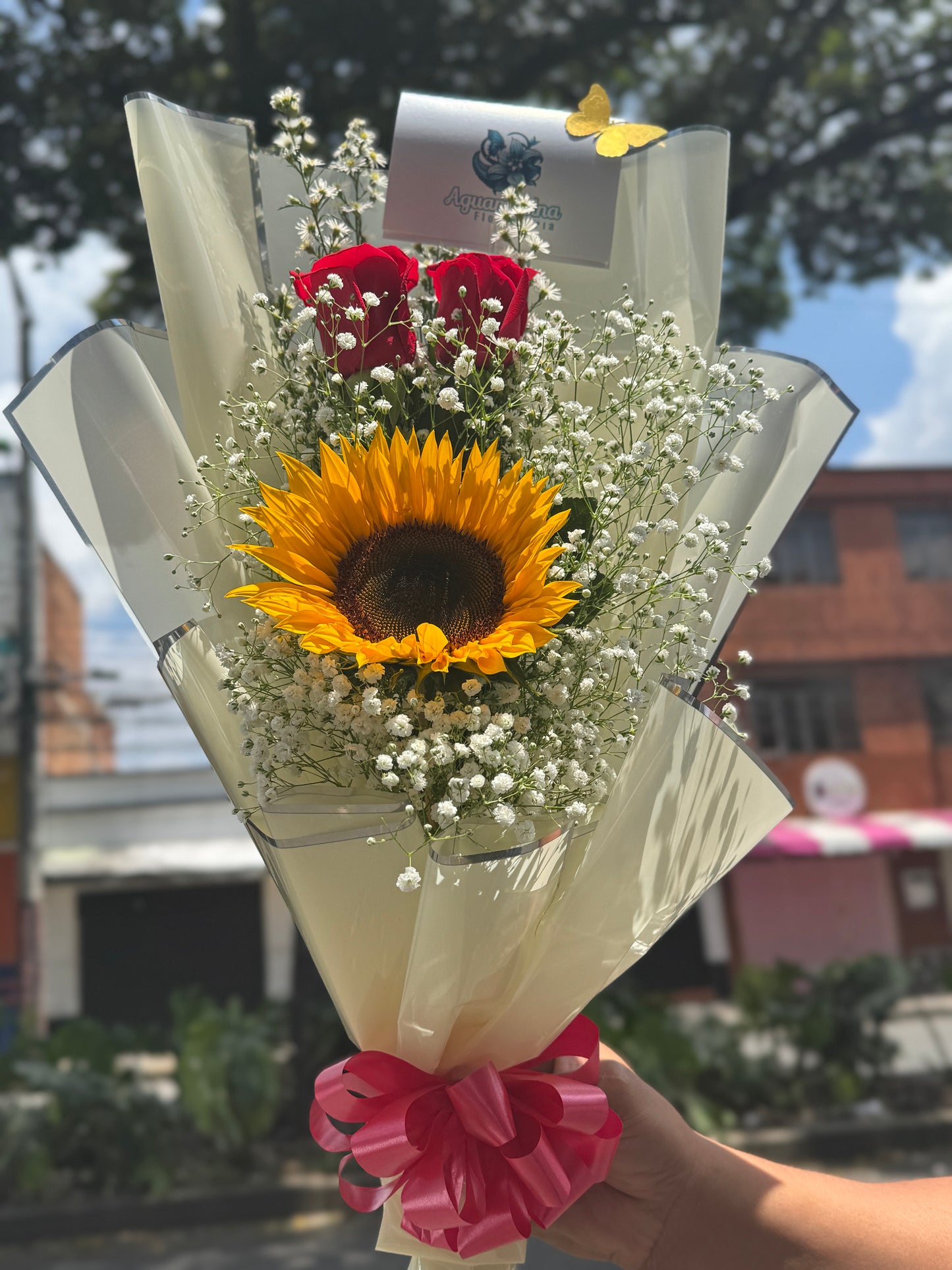 🌻✨ Sol de Amor puro ❤️🌼