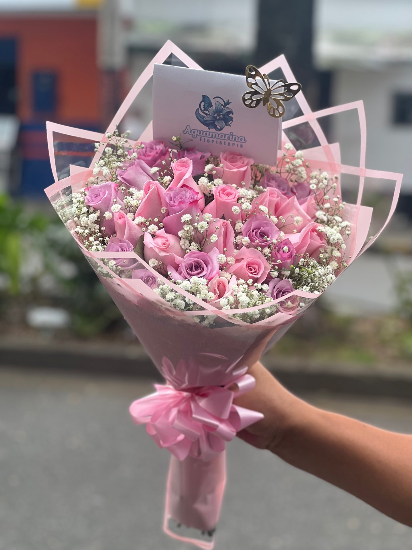 🌸🪻 encanto, rosa y lila