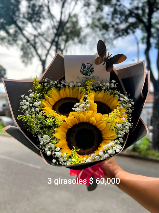 Trío de soles