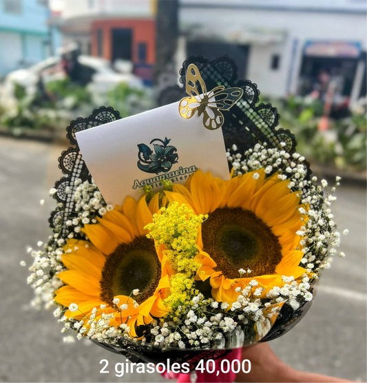 Dúo de sol