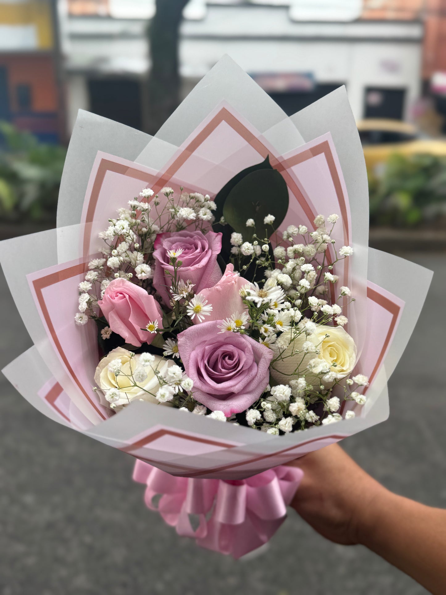 🫧💐encanto 🌿