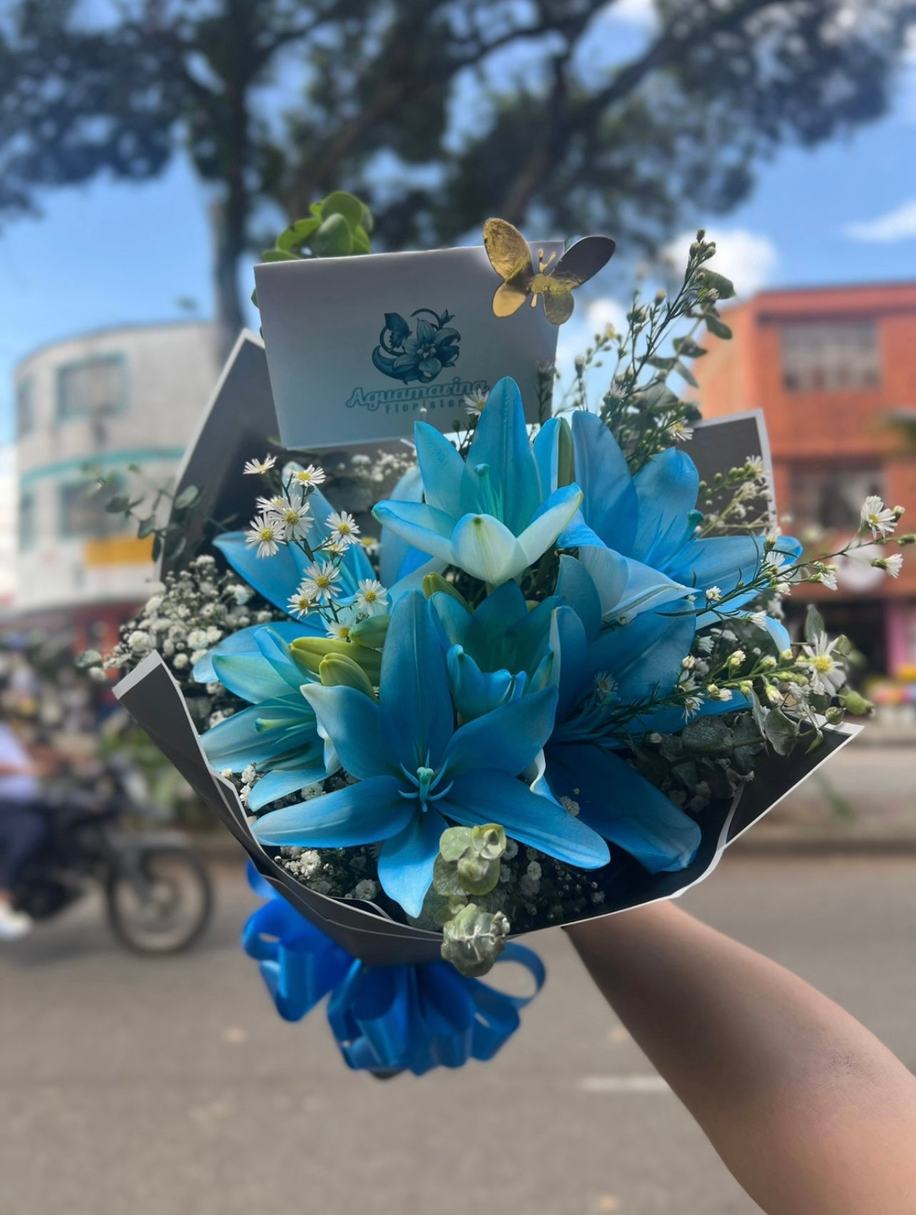 Sueño Azul