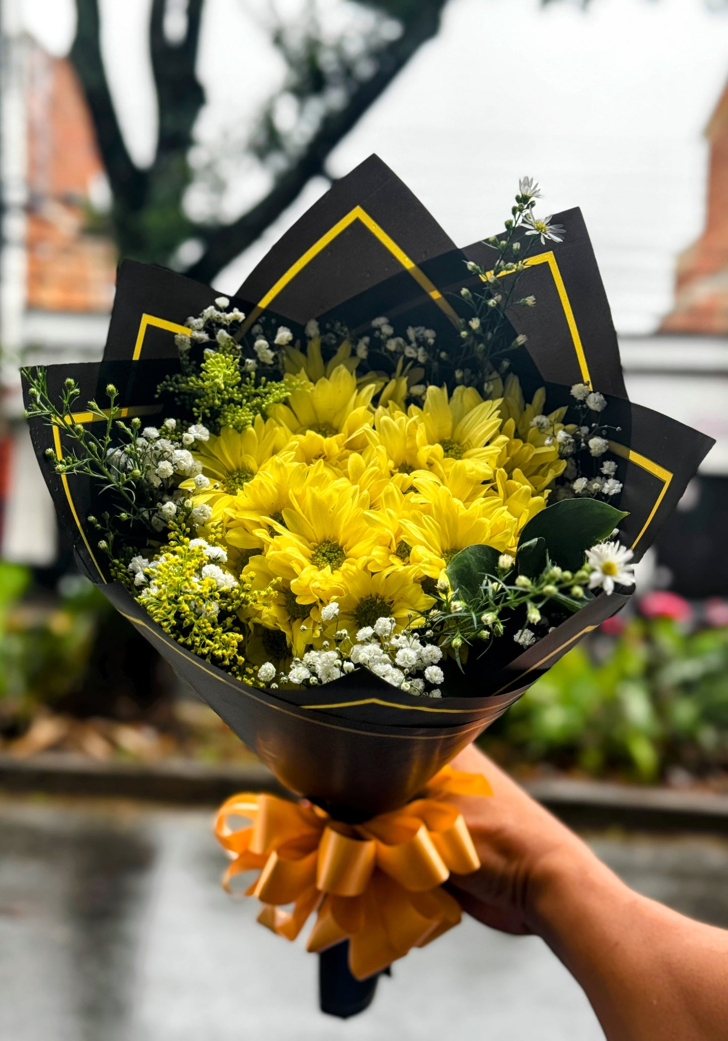 🌼 Margarita de primavera🌼