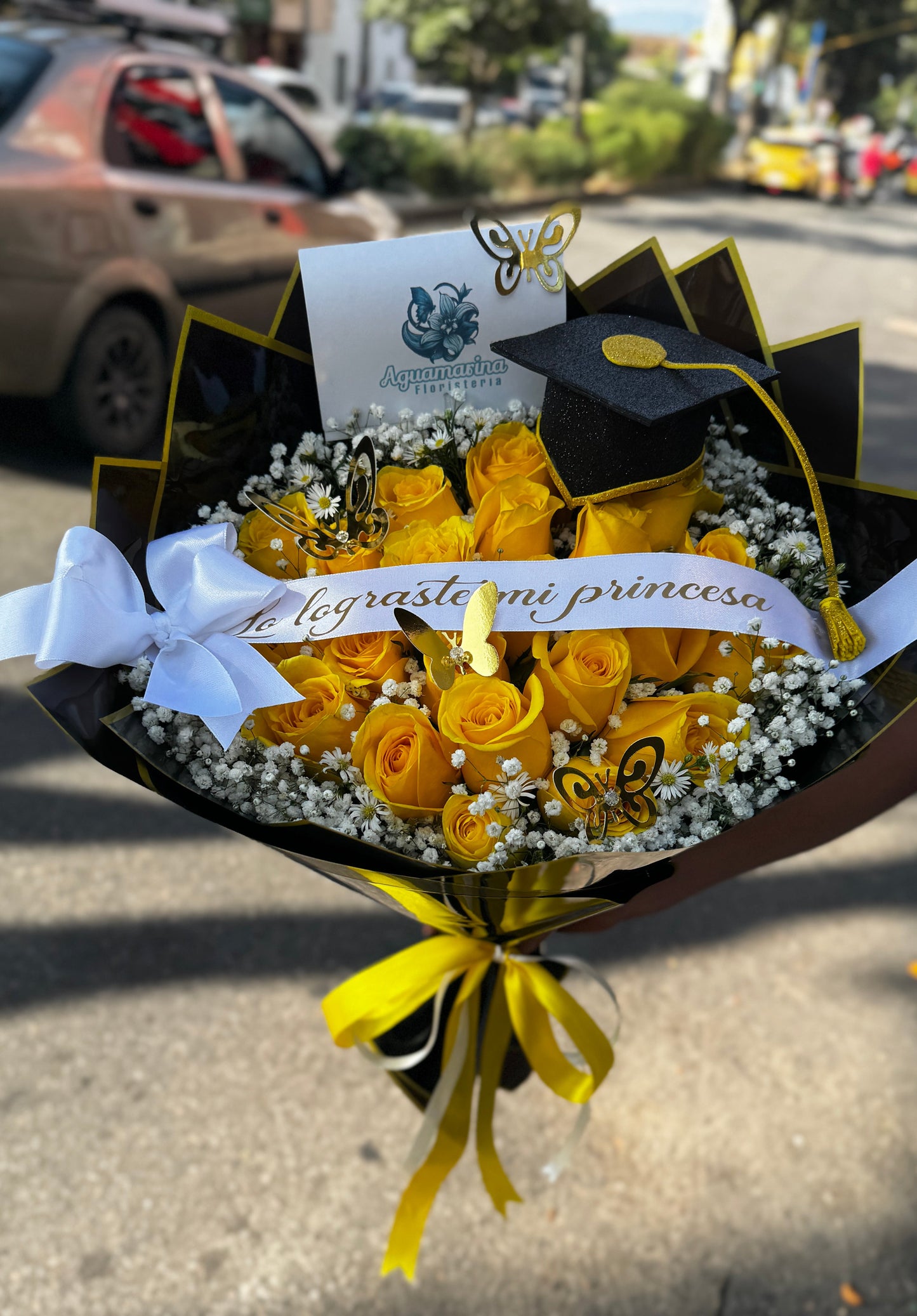 Lo lograste princesa