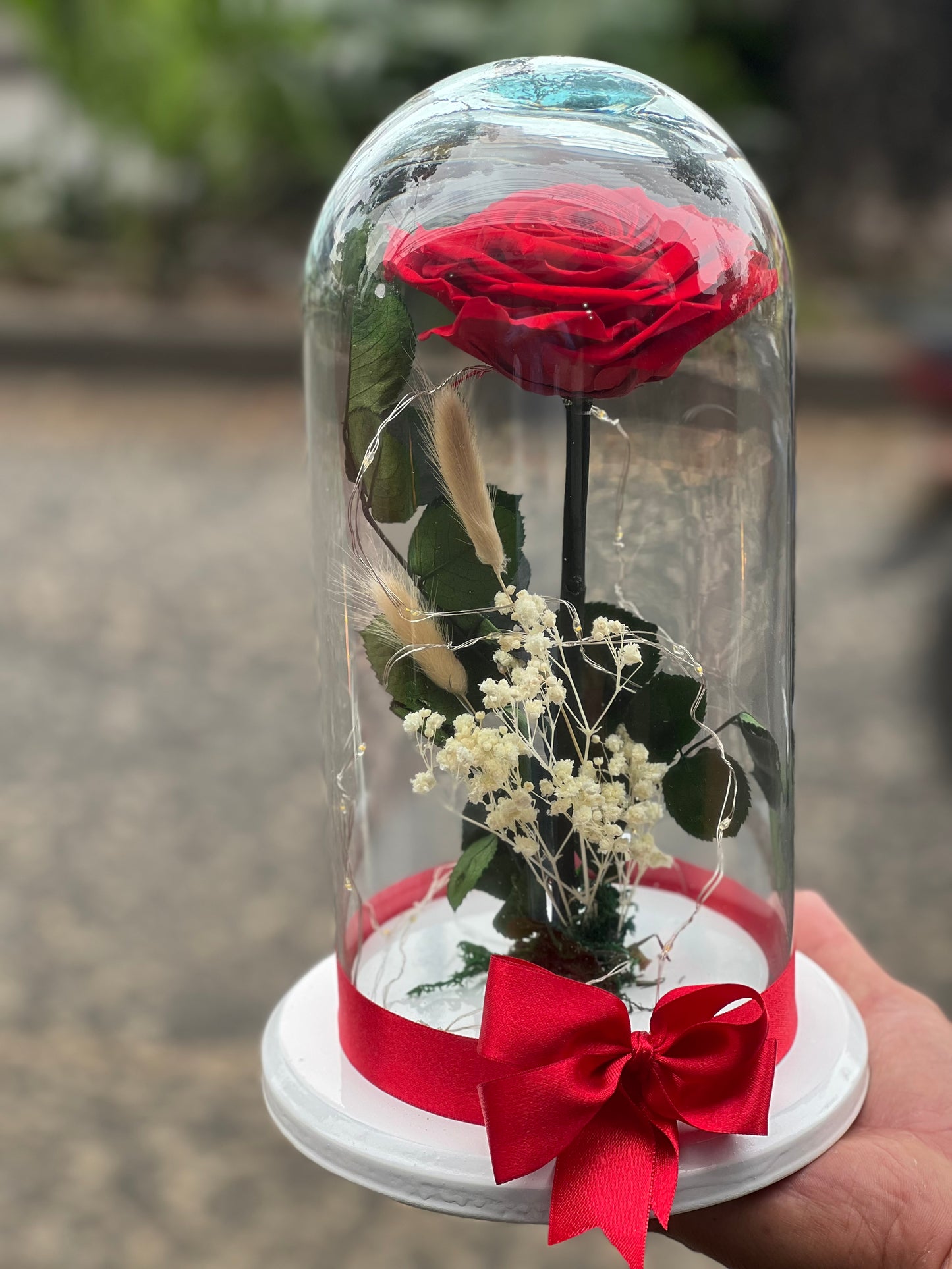 💐Rosas  Eternas tú escoges tu color favorito, ￼🌹