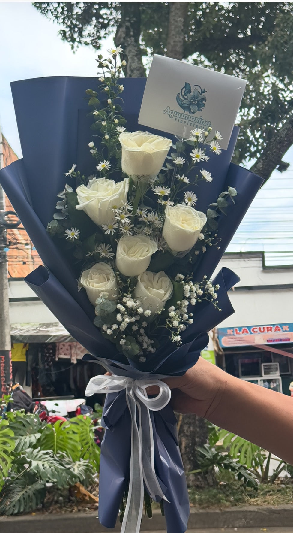 🌹✨ Rosas de ilusión❤️✨