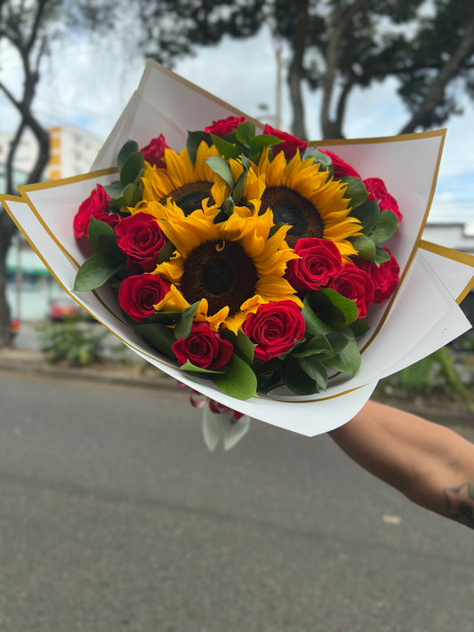 🌻❤️ soles de Amor❤️🌻