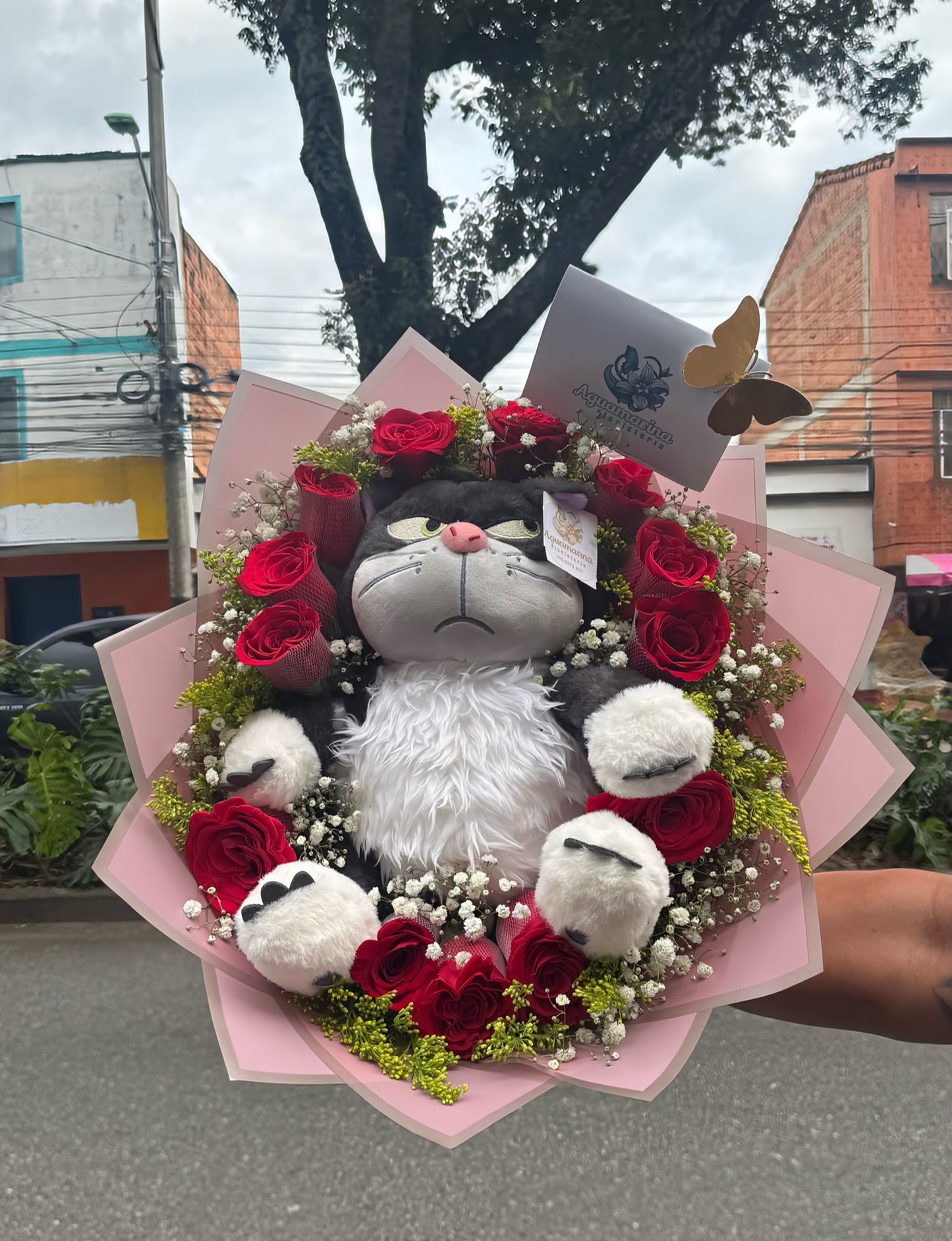 Abrazo de Rosas ❤️🌹🐱
