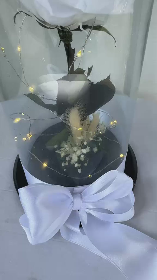 Eterna Amarilla